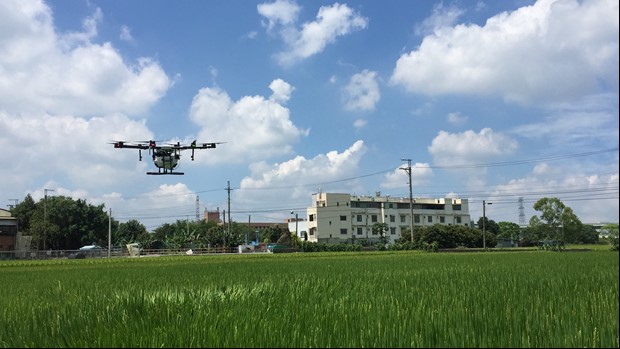 圖二、無人機於水稻田區的噴施實景圖