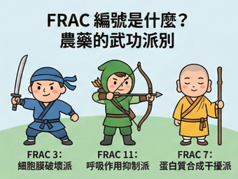 圖二