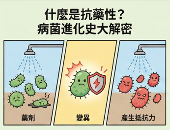 圖一
