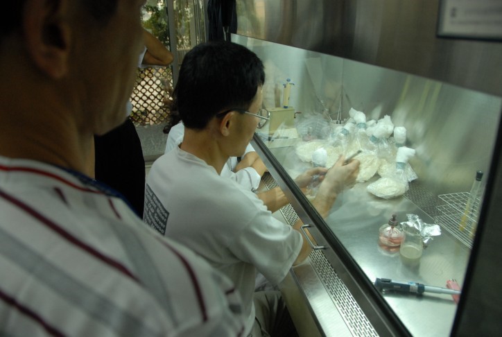無菌操作台操作蟲生真菌的接種。