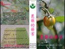 農藥的藥害
