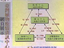 農作物疫情監測體系之建立