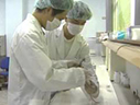 微生物農藥產品開發之安全性評估