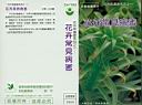 花卉病害系列之一 花卉常見病害