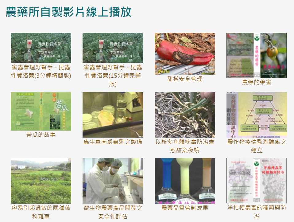 自製影片