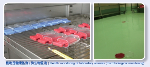 Health monitoring of laboratory animals (microbiological monitoring)