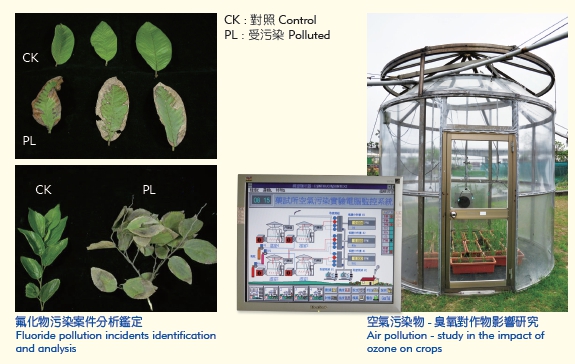 Pollution Impact on Plants and Crops