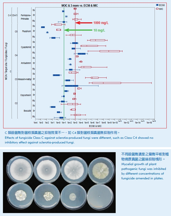 Pesticides Toxicity on Pests