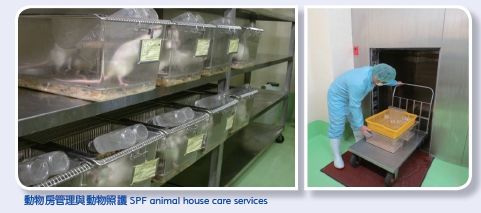 SPF animal house care services