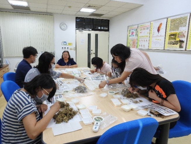 蘭花介質中夾雜草子之種類鑑別及活力檢測實習。