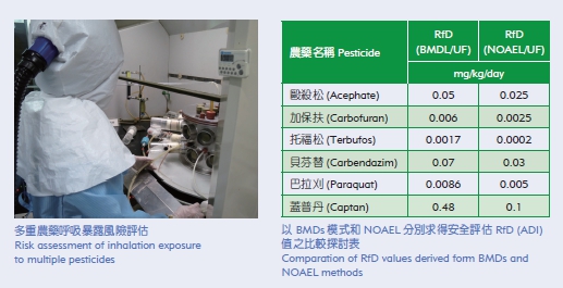 Risk Assessment for Pesticides