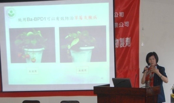 記者會中費雯綺所長作簡報說明。