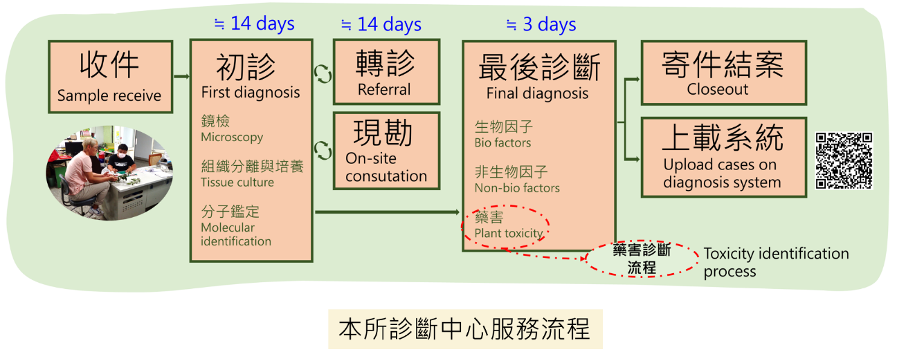 診斷服務