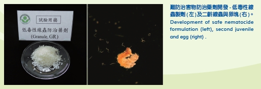 Developing of safe nematocide formulation (left), second juvenile and egg (right)