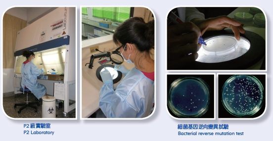P2 Laboratory (Left picture) Bacetrial reverse mutation test (Right picture) 