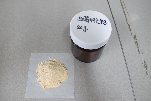廢棄雞羽毛變綠金4