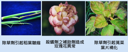 病徵