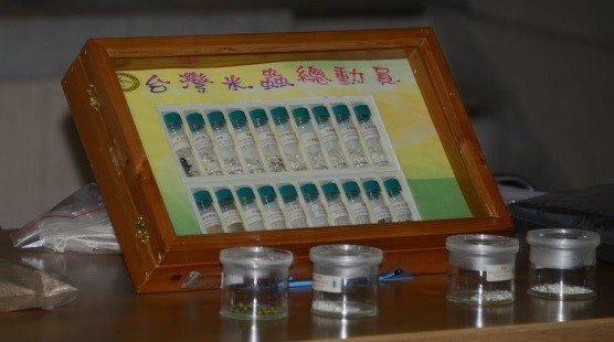 倉儲害蟲實體觀察