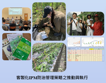 客製化IPM