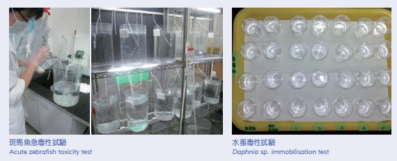 Acute zebrafish toxicity test (Left picture) Daphnia sp. immobilisation test (Right picture) 
