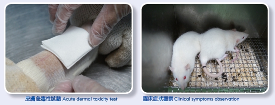 Acute dermal toxicity test (Left picture) Clinical symptoms observation (Right picture) 