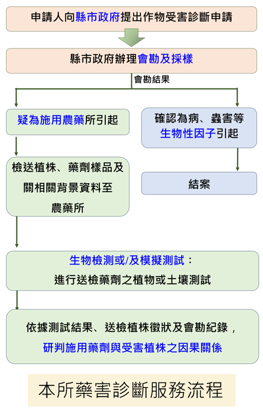 診斷過程