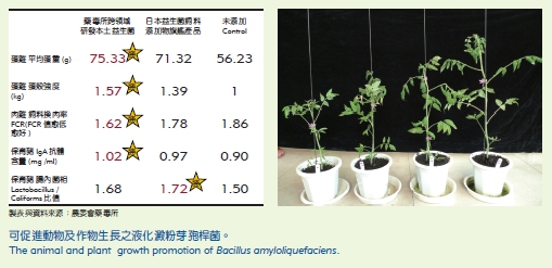 Development and Application of Microbial Pesticides