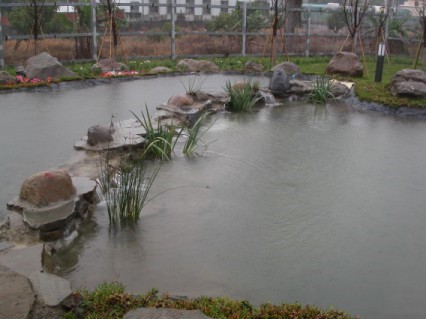 生態池景色宜人。