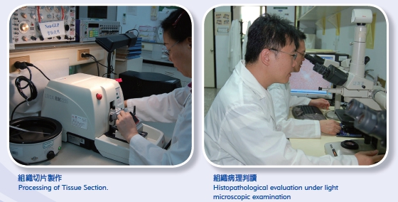 Processing of Tissue Section (Left picture) Histopathological evaluation under light microscopic examination (Right picture) 