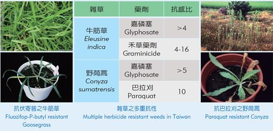 雜草之多重抗性