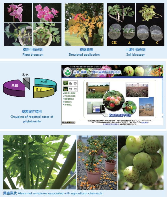 Phytotoxicity Research