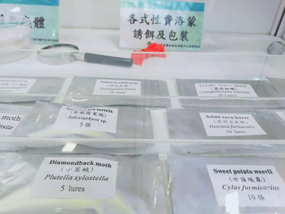 圖三