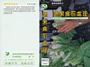 前往 蔬果食前處理(台) 