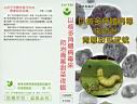 前往 以核多角體病毒來防治青蔥甜菜夜蛾