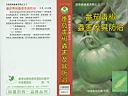 前往 蔬菜病蟲害系列之三 番茄、青椒蟲害及其防治