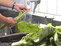 前往 蔬果食前處理系列報導之二：清洗 
