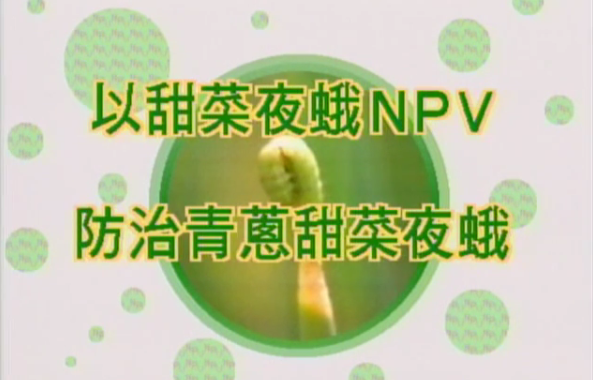 前往 以甜菜夜蛾NPV防治青蔥甜菜夜蛾