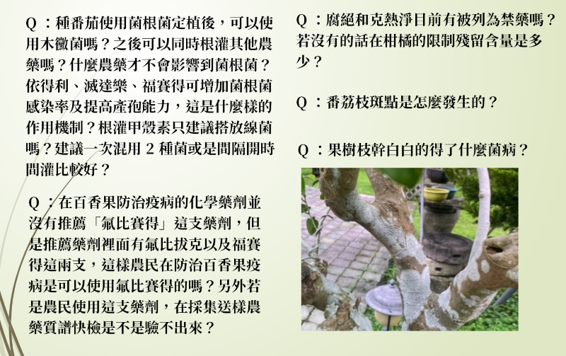 植物保護信箱(117)