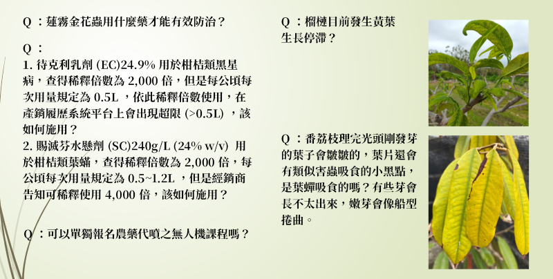 植物保護信箱(111)