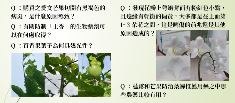 植物保護信箱(115)