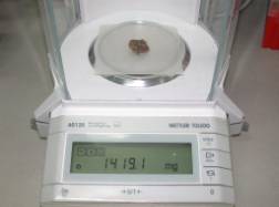 臟器秤重記錄